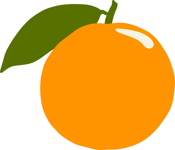 Orange Fruit Illustration